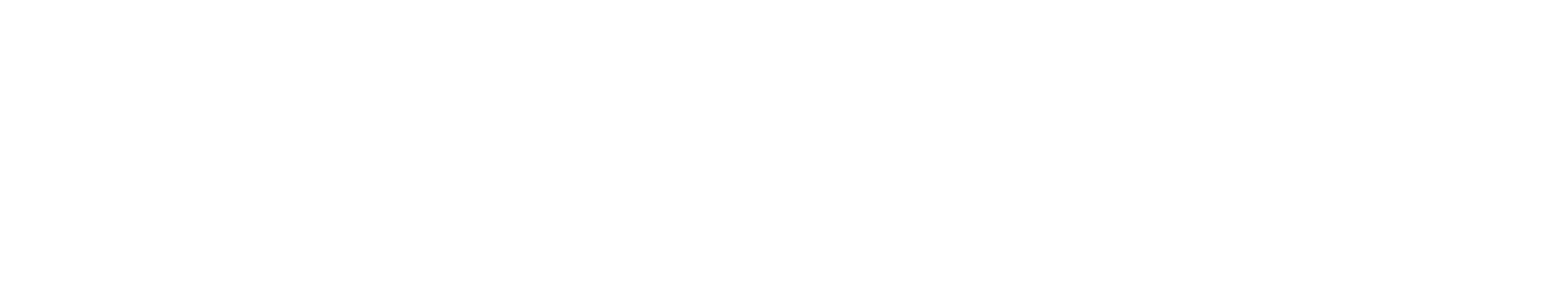 mavenpm footer logo